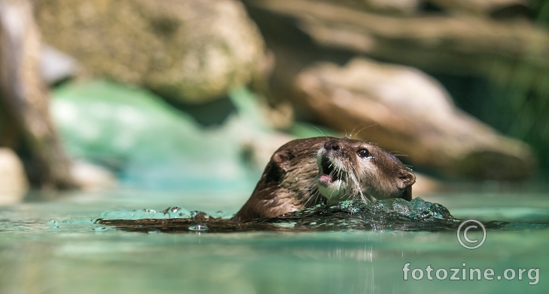 daj da ti šapnem nekaj…