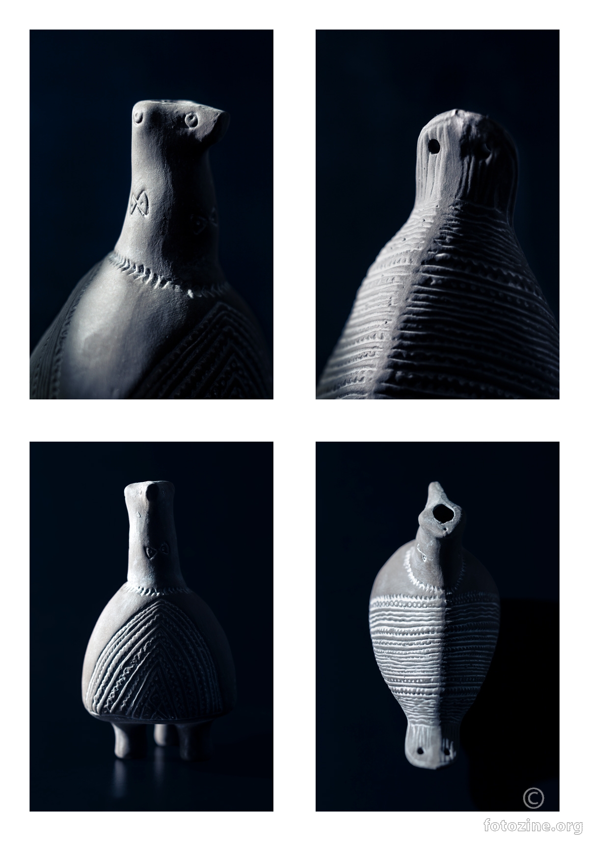 Studij struktura Vučedolske golubice