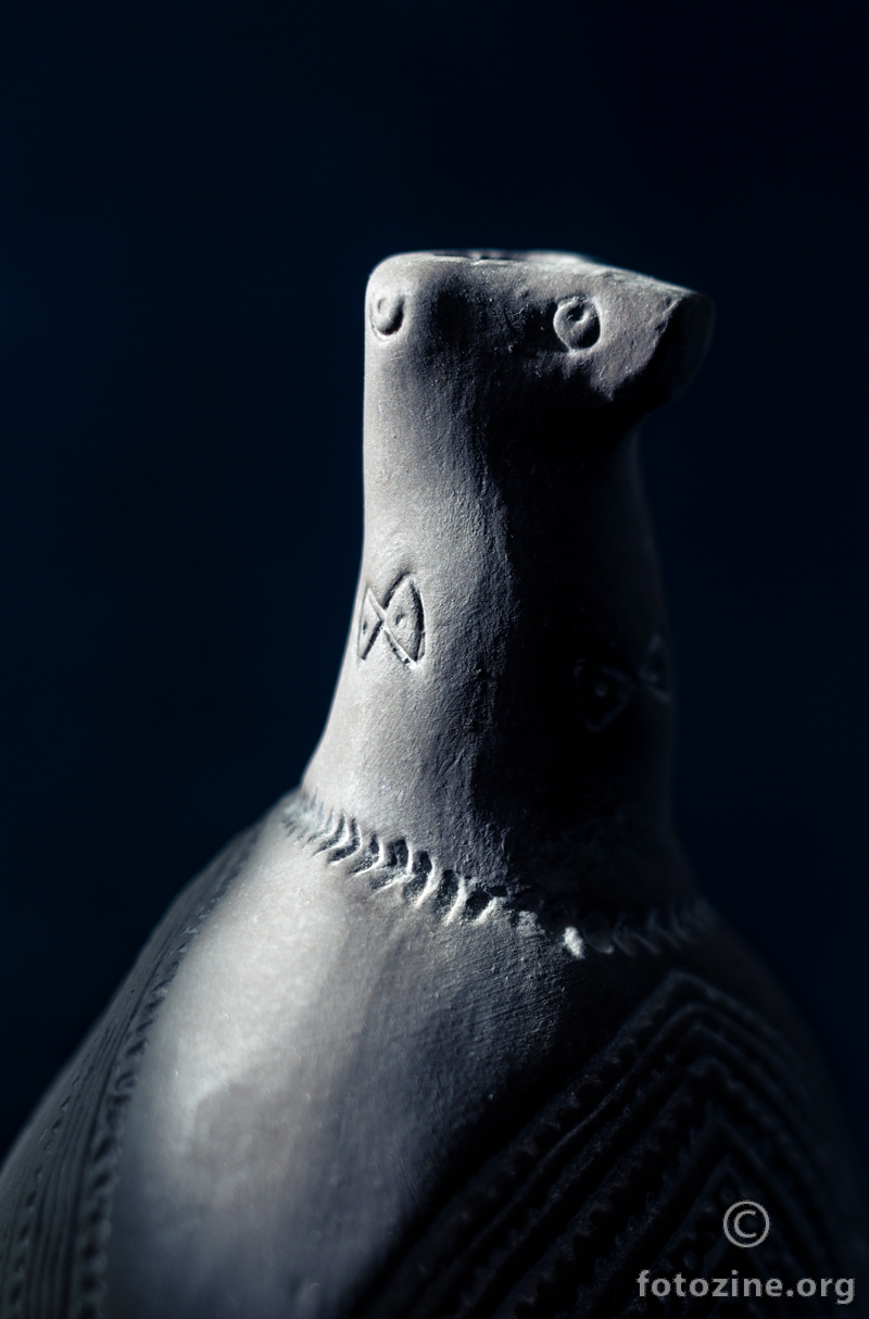 Studij struktura Vučedolske golubice (1)