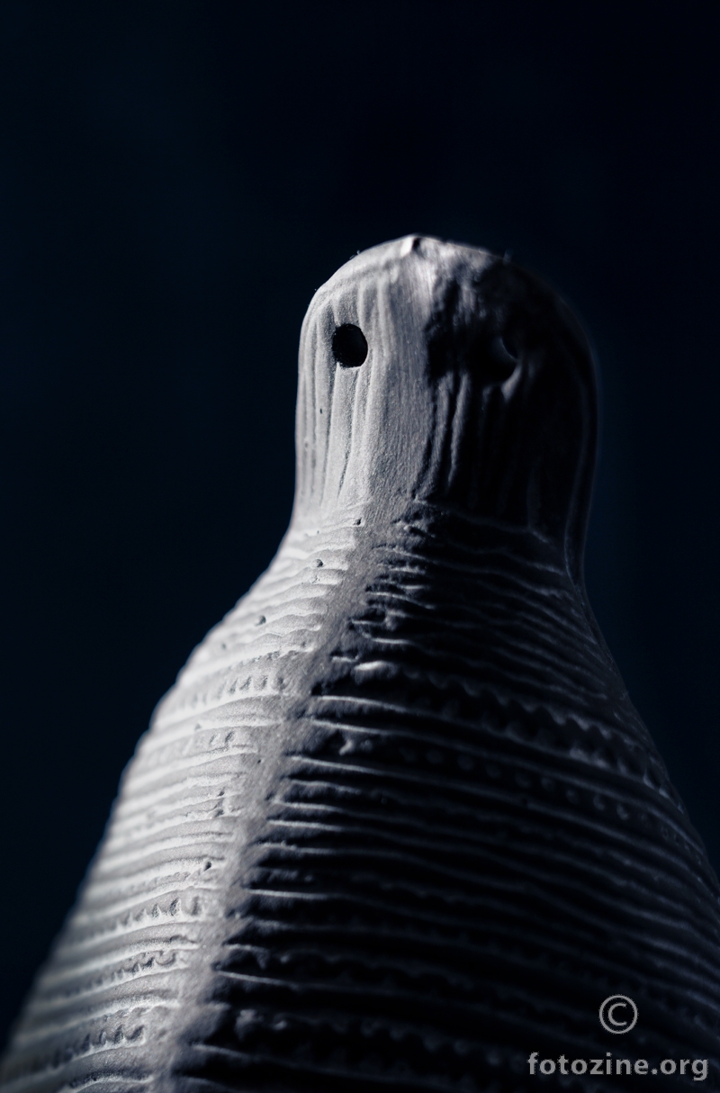 Studij struktura Vučedolske golubice (2)