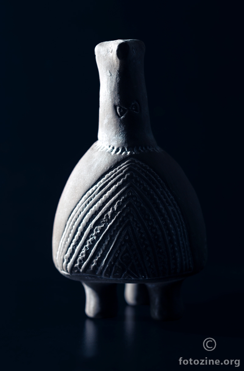 Studij struktura Vučedolske golubice (3)