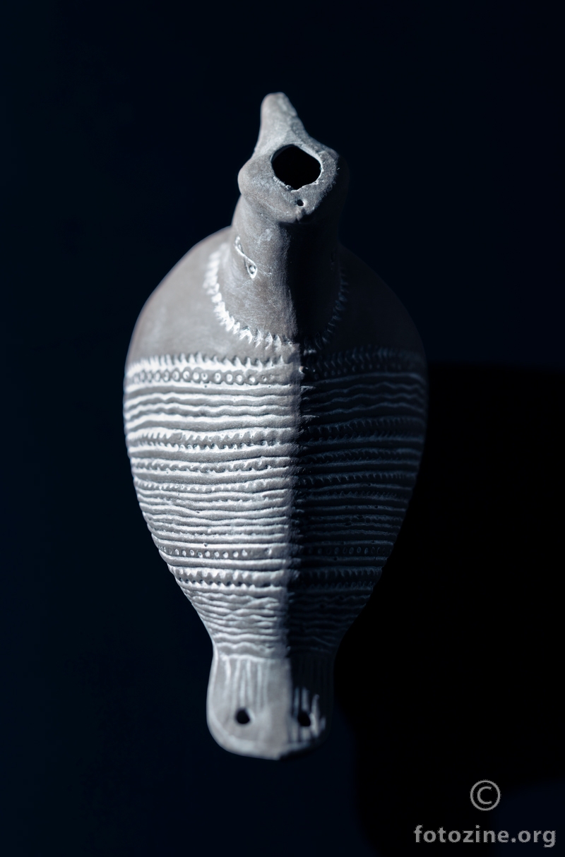 Studij struktura Vučedolske golubice (4)