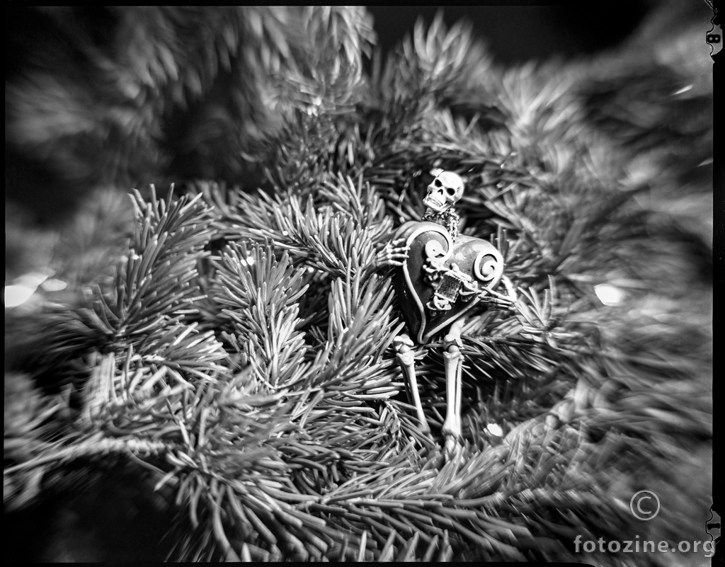 Božićni Kradljivac Srca