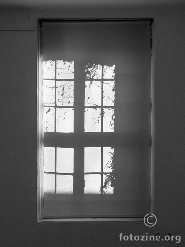 prozor u sjeni
