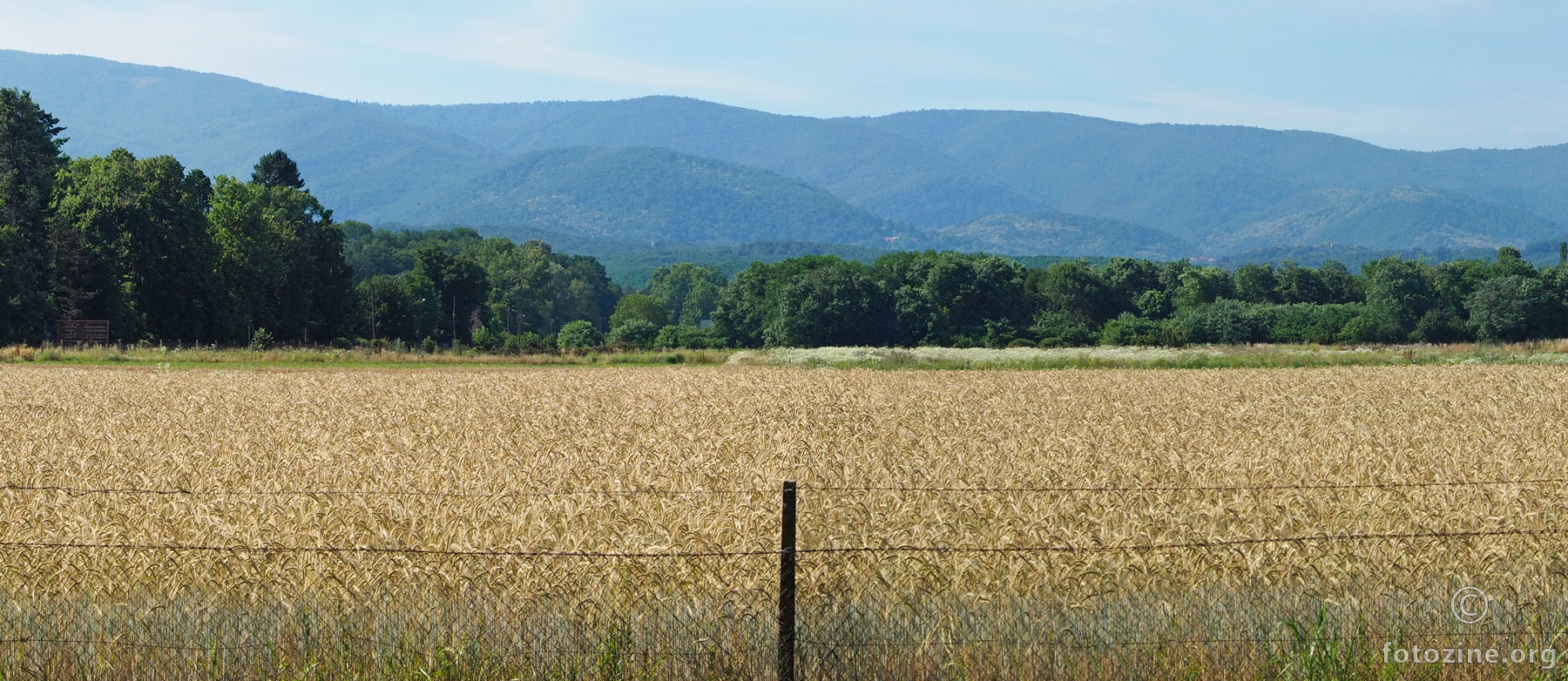 Sredgradska žitna panorama