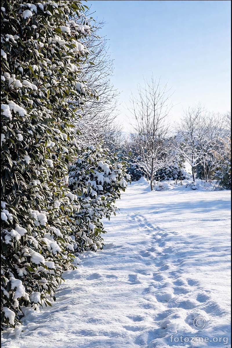Umirujuća bjelina i zelenilo