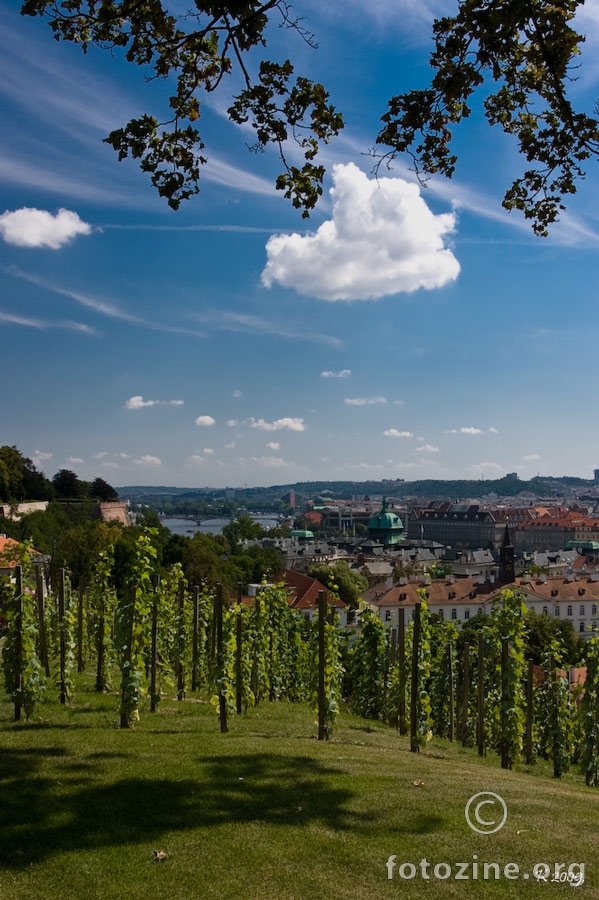 Prag pogled preko vinograda