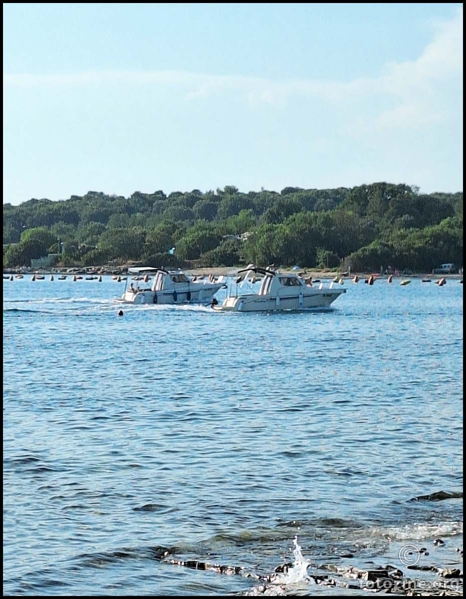 blizanci