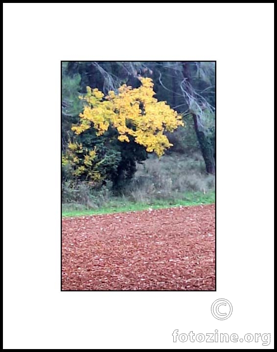 jesenje boje Istre