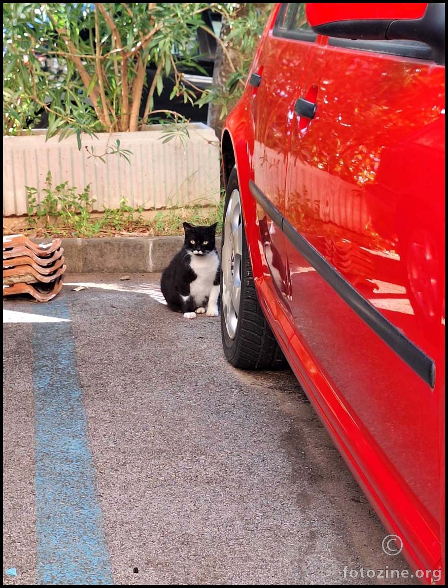 sakriti se htio, ali nije uspio...