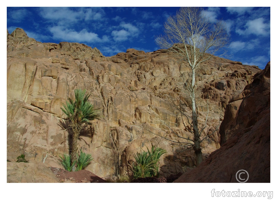 Sinajsko gorje