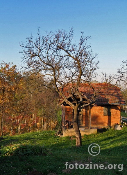 V goricaj