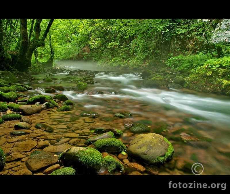 foto br. 279606