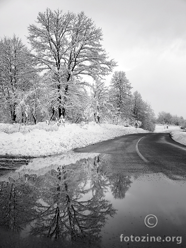 zimski pejsaž s odrazom stabla u lokvi na cesti