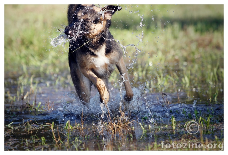 Kako ucinkovito prati zube?