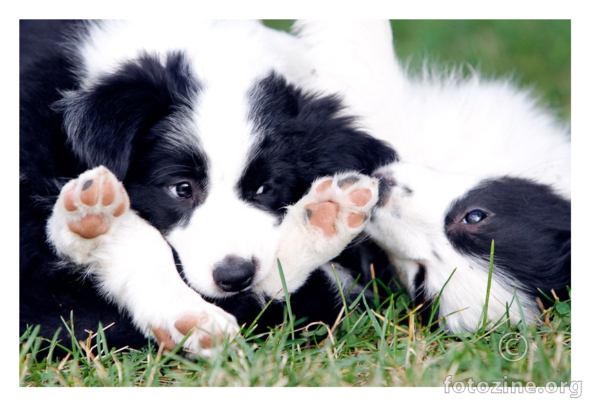 E buraz....brijem da sam zapeo :/