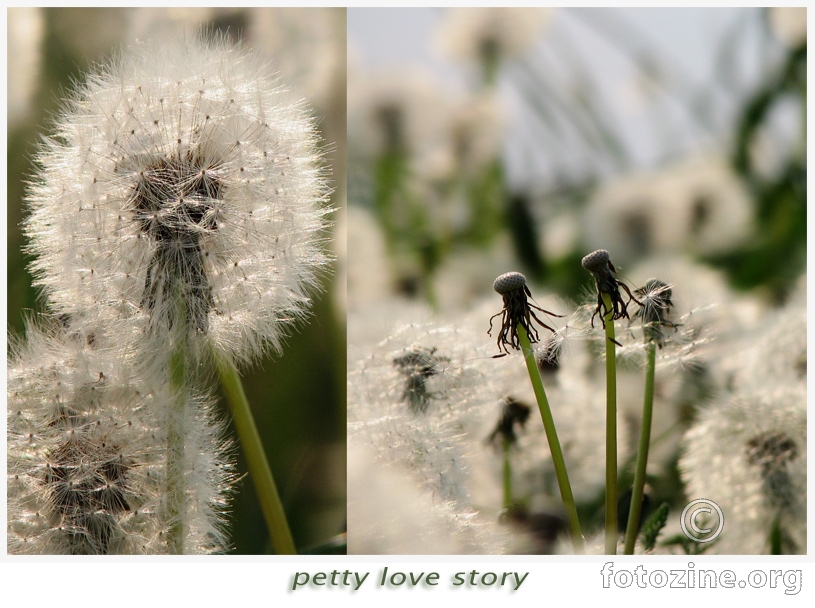 petty love story