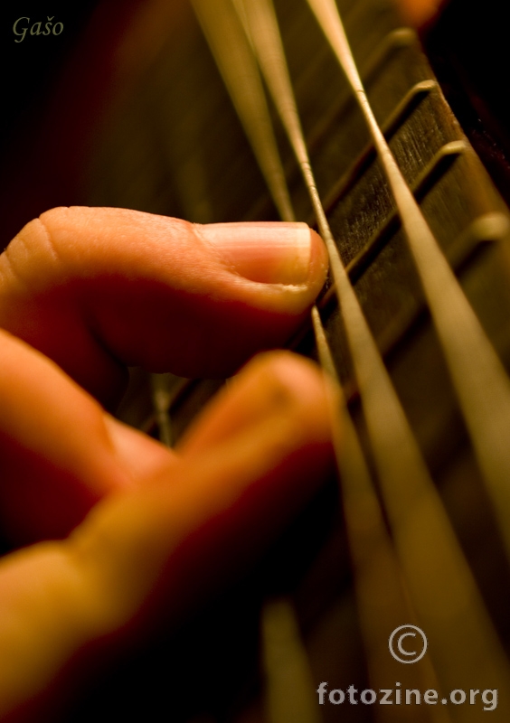 Fingers of music