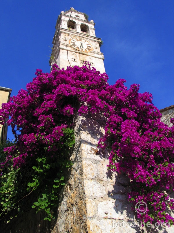 Zvonik u cviječu