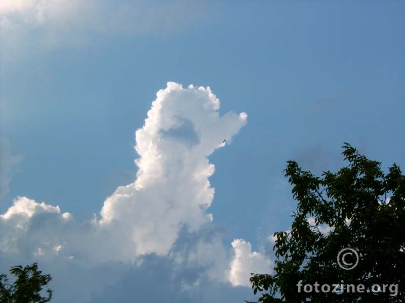 oblak-ptica-pudlica
