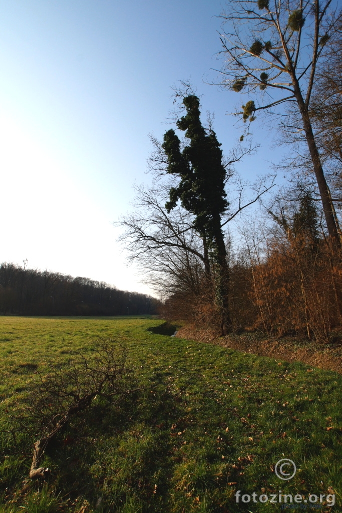 ...gledao sam, sunce na istoku, kako se budi...