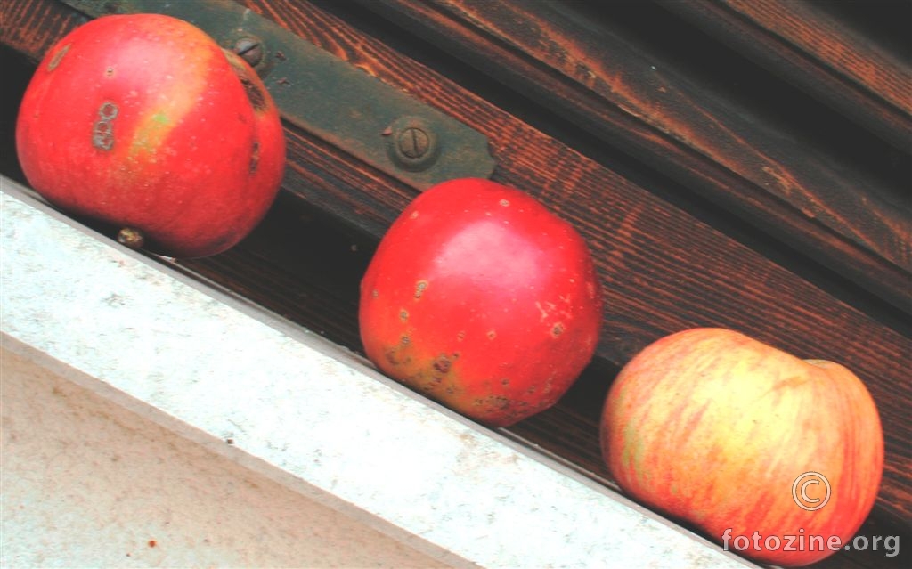 Jabuke na prozoru II