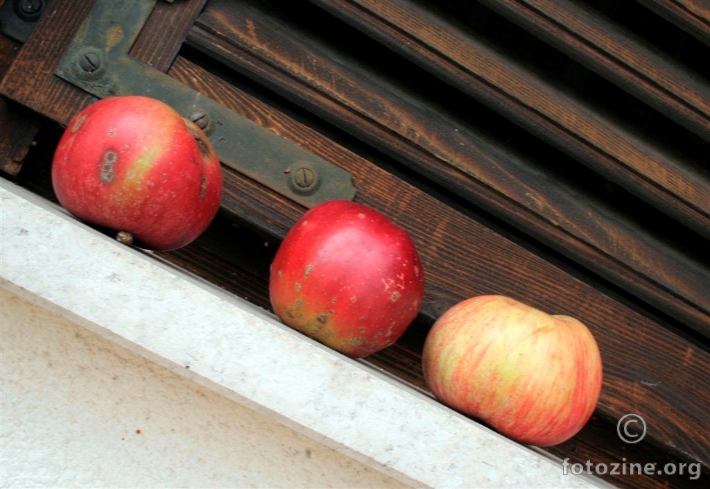 Jabuke na prozoru