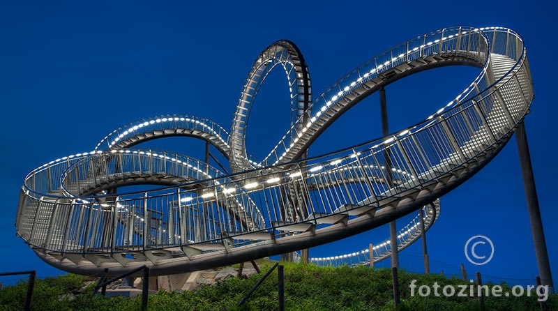 Tiger & Turtle 3