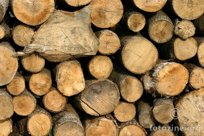 drva iliti kvrgavi