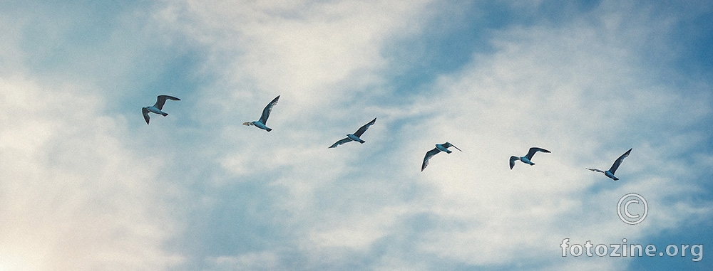 Free