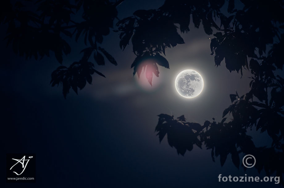 Fool moon