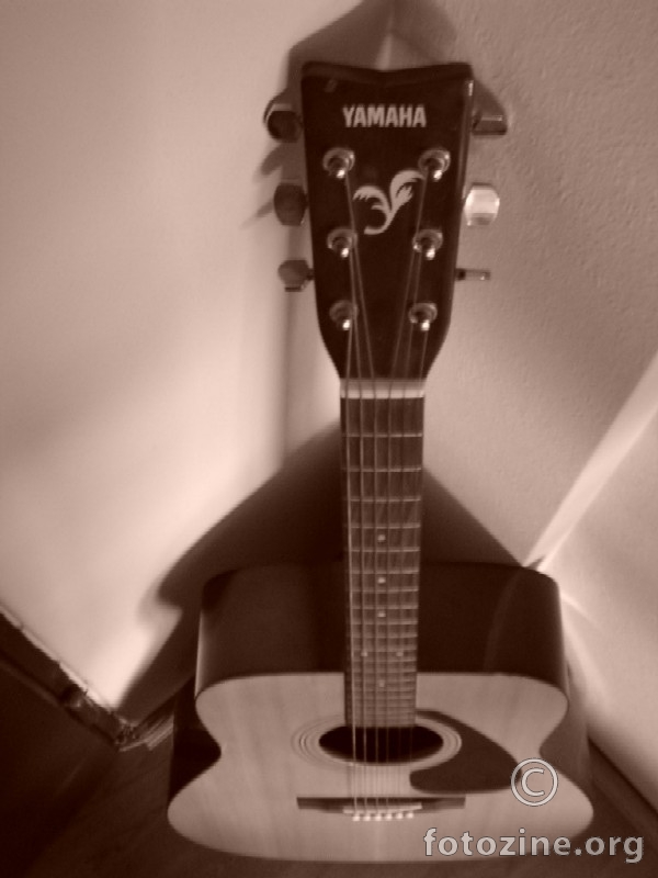 Moja gitara