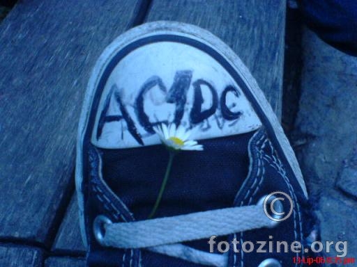 ac/dc daisy