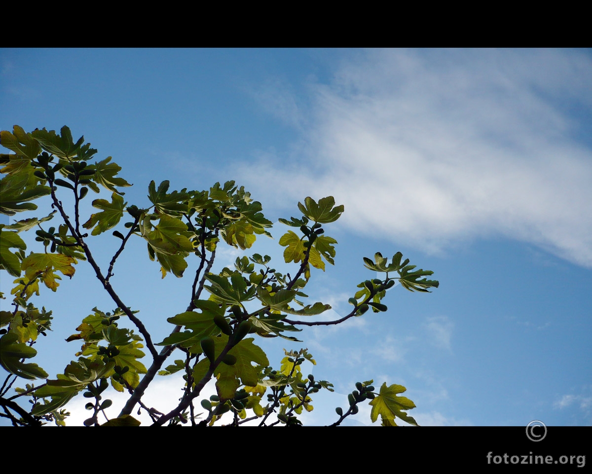 .::dublin sky::.