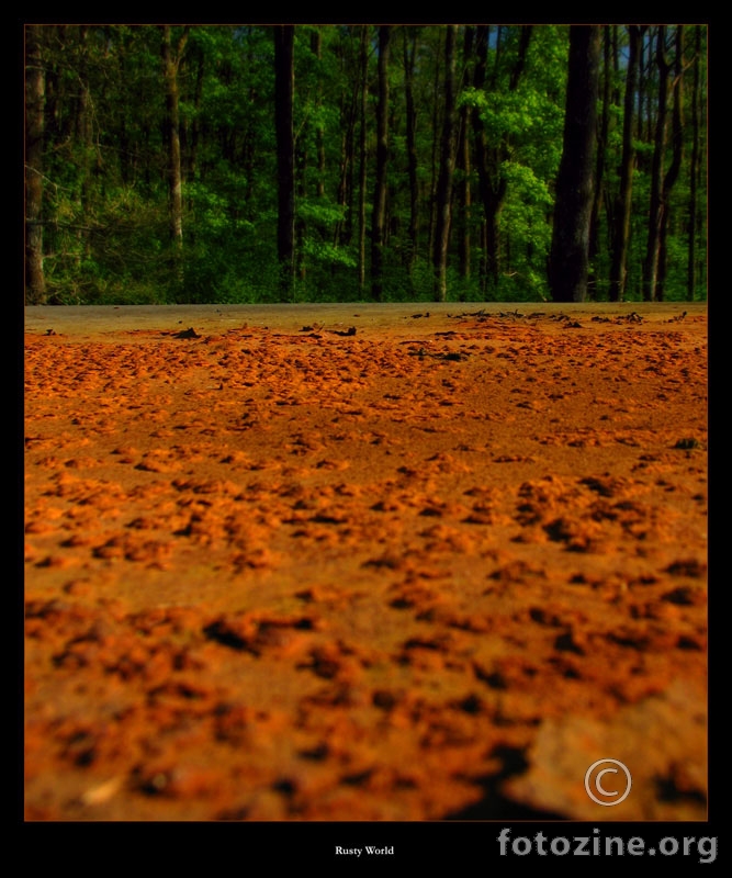 Rusty World