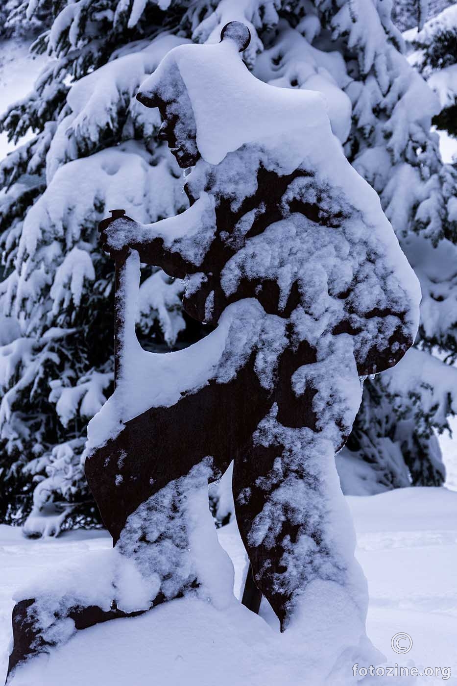 Camouflage njegovo je ime, u šumi se tamo skriva svake zime.