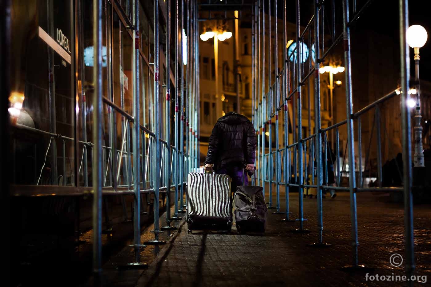 Još jedan na ulici traži dom.