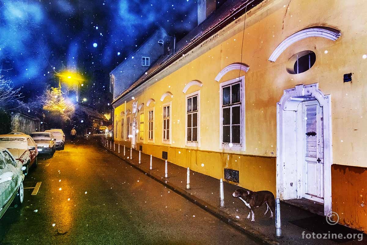 Zadnja čuvarica kuće Bužan...