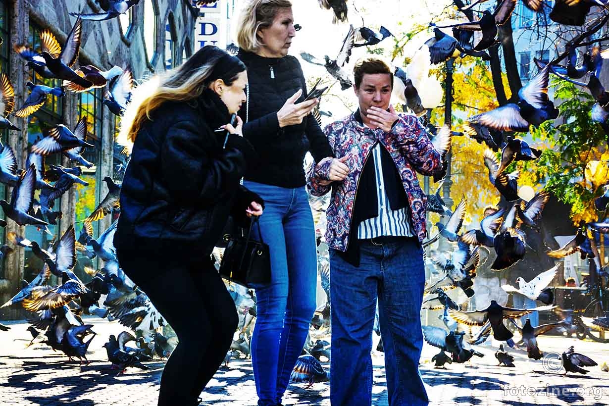 Točno u podne kada u Zagrebu top pukne.