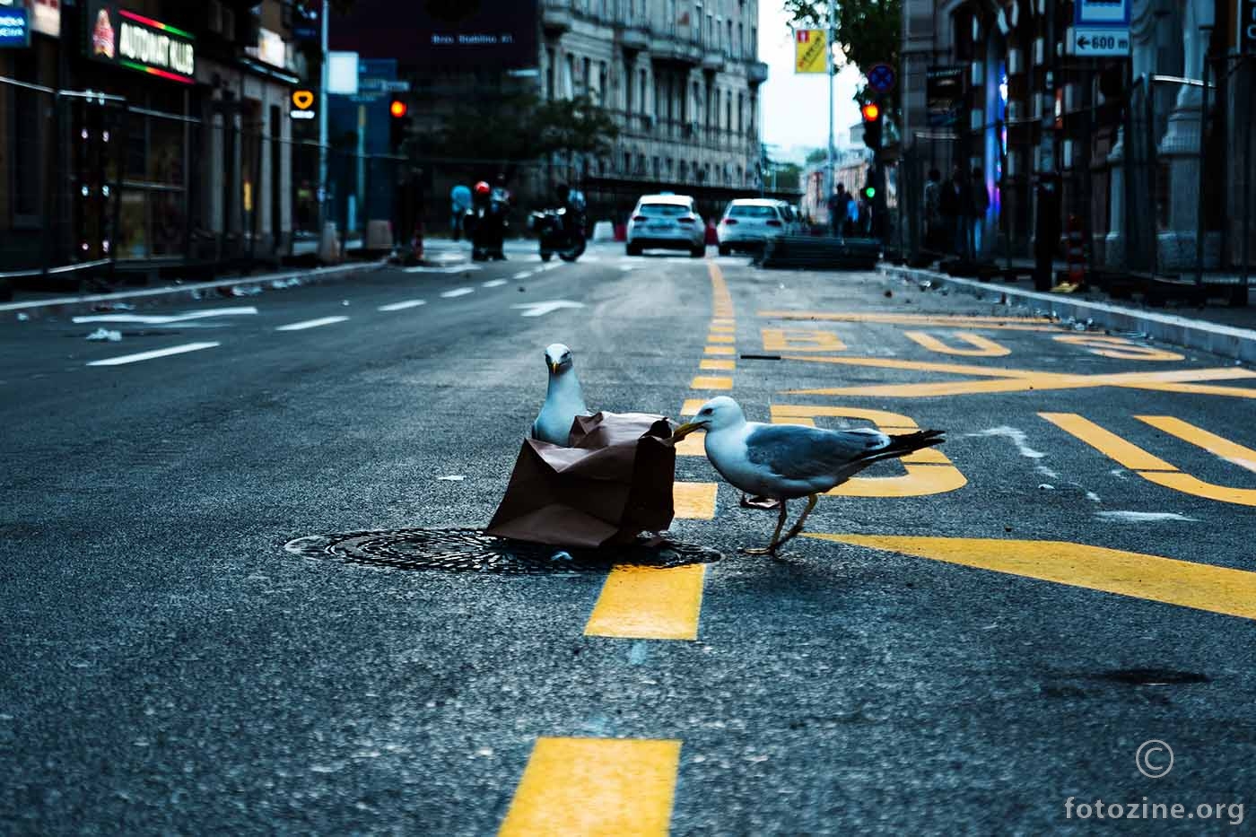 Urbani smetlari ili ulični redari...