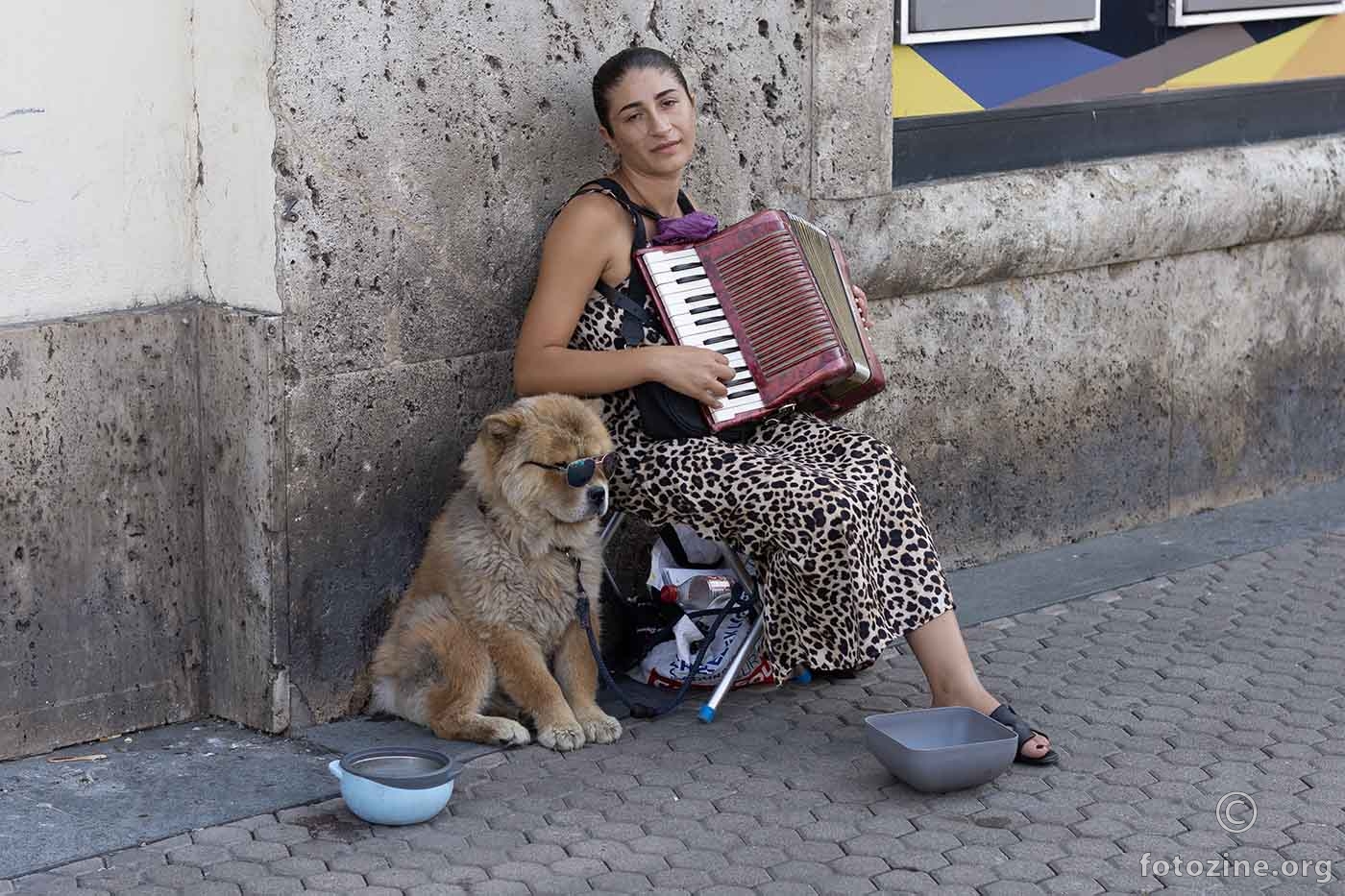 Harmonikašica.