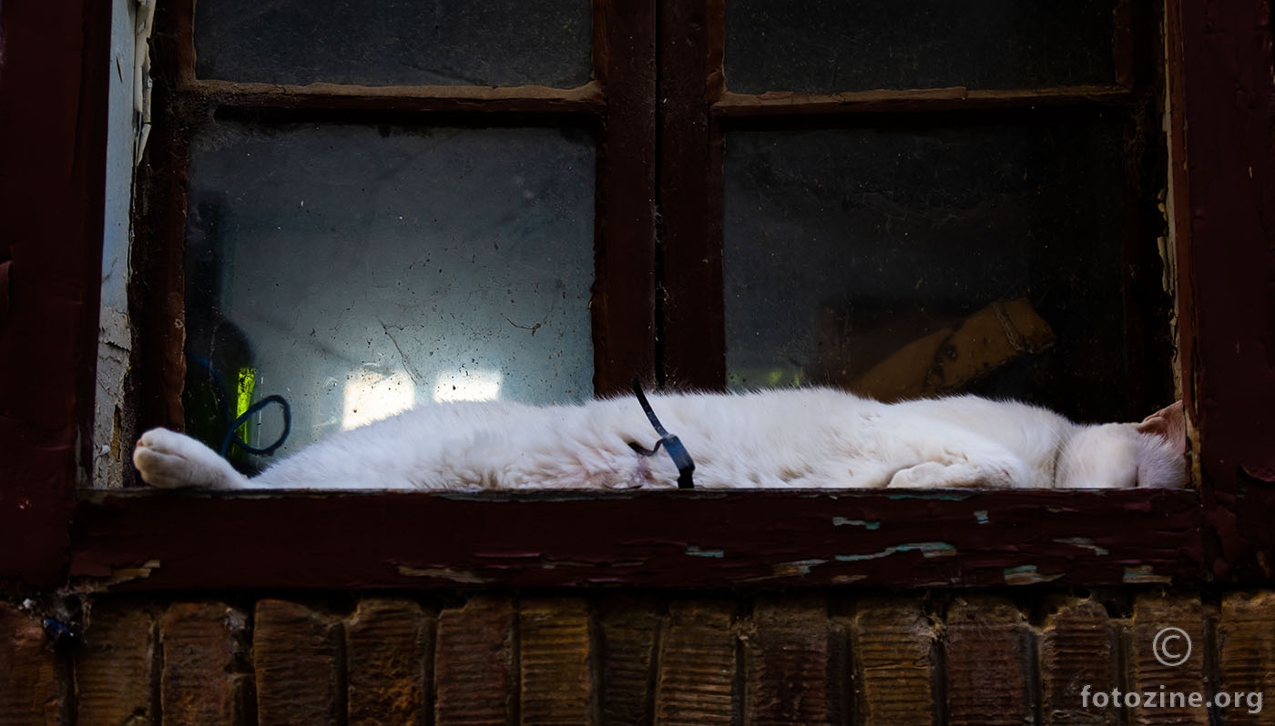 Čupava izolacija od propuha, mekana mala vreća buha....