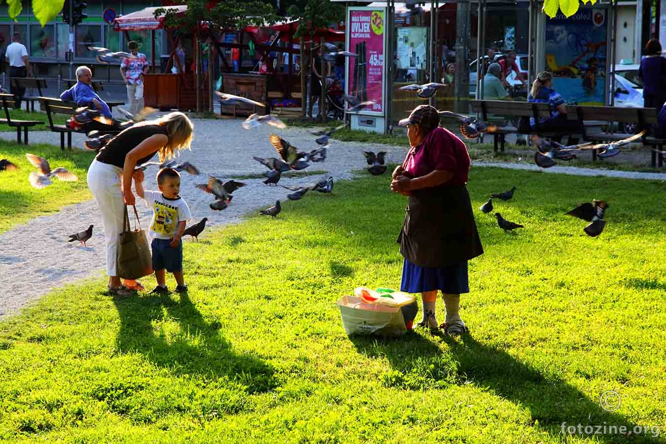 Sreli se 3 generacije sa golubima u gradskom parku...