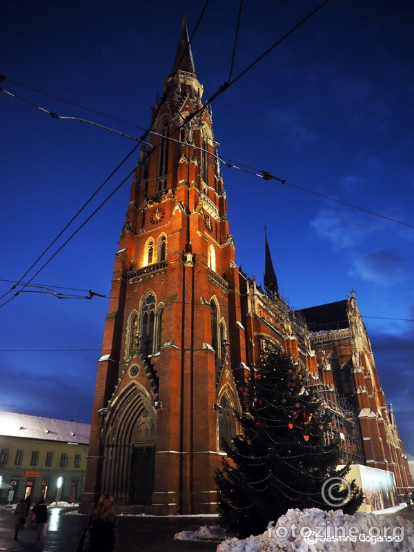 Cathedral in the blue hour