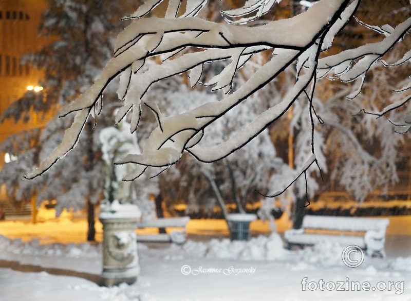 Winter evening light