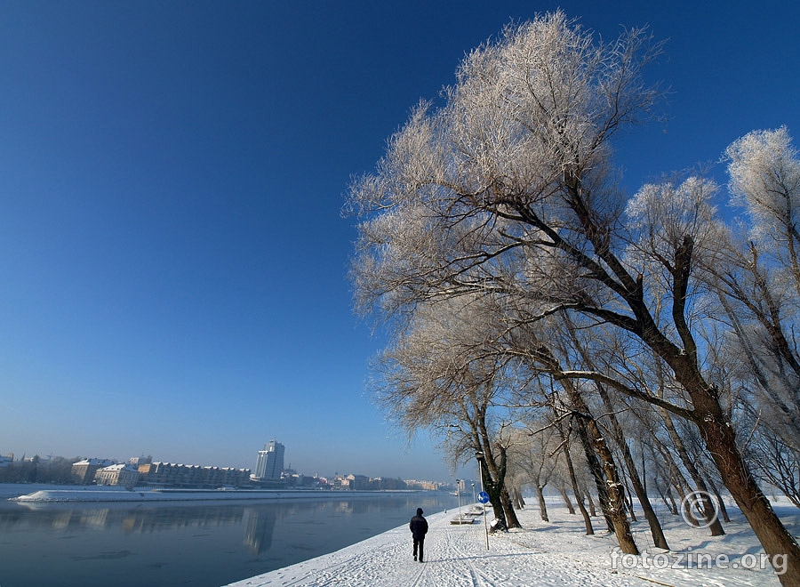 Hladno plavo zimsko jutro na obali Drave