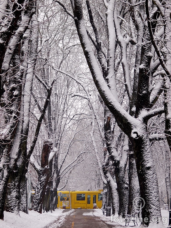 Žuti tramvaj