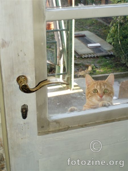 Pusti me unutra