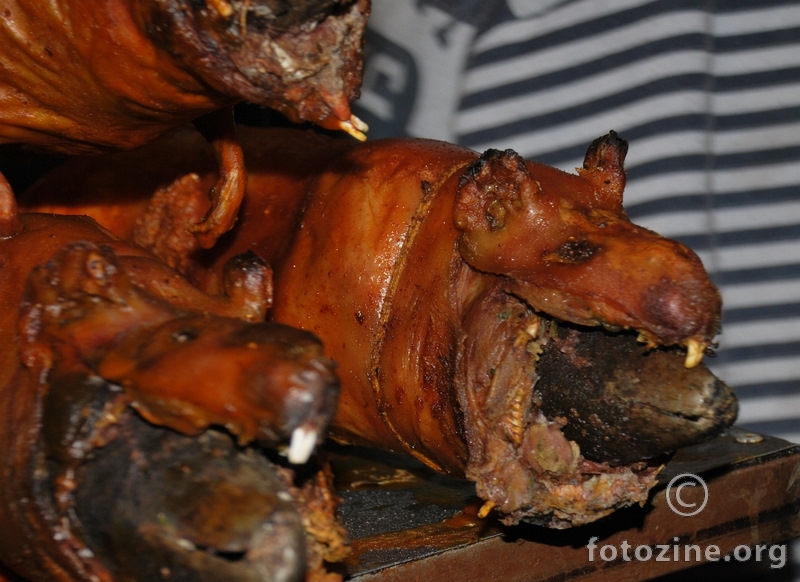 Guinea pigs - na ražnju