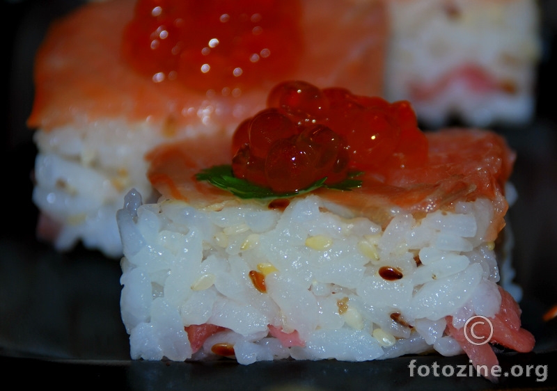sushi u domacoj radinosti 2 